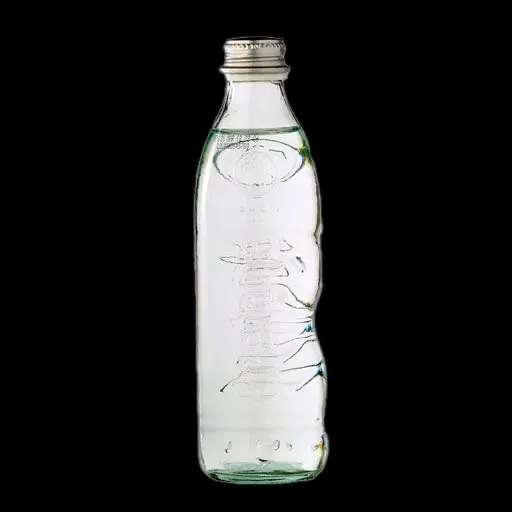 GASEOSA SODA 10 OZ