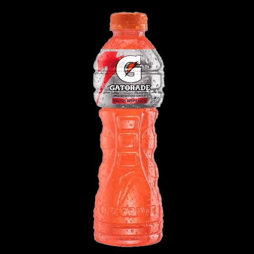 BEBIDA GATORADE 500 ML