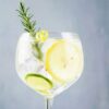 GIN TONIC