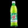 GASEOSA GINGER 10 OZ