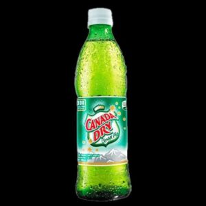GASEOSA GINGER 10 OZ