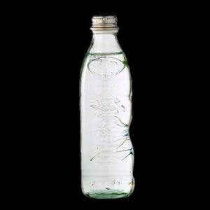GASEOSA SODA 10 OZ